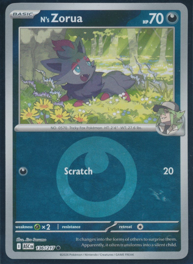 N's Zorua (MAG MAG-00010525) — front