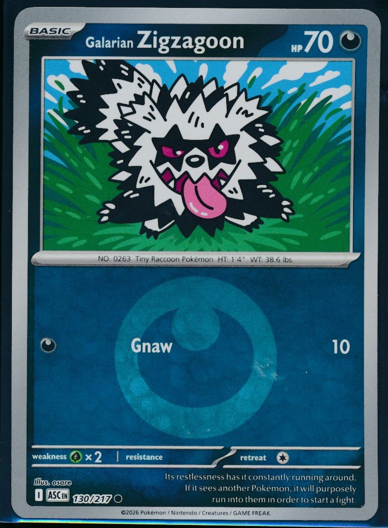 Galarian Zigzagoon (MAG MAG-00010524) — front