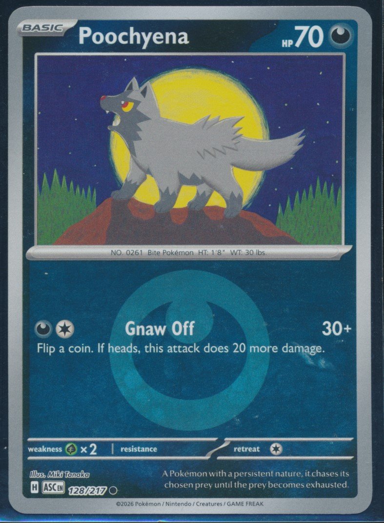 Poochyena (MAG MAG-00010509) — front