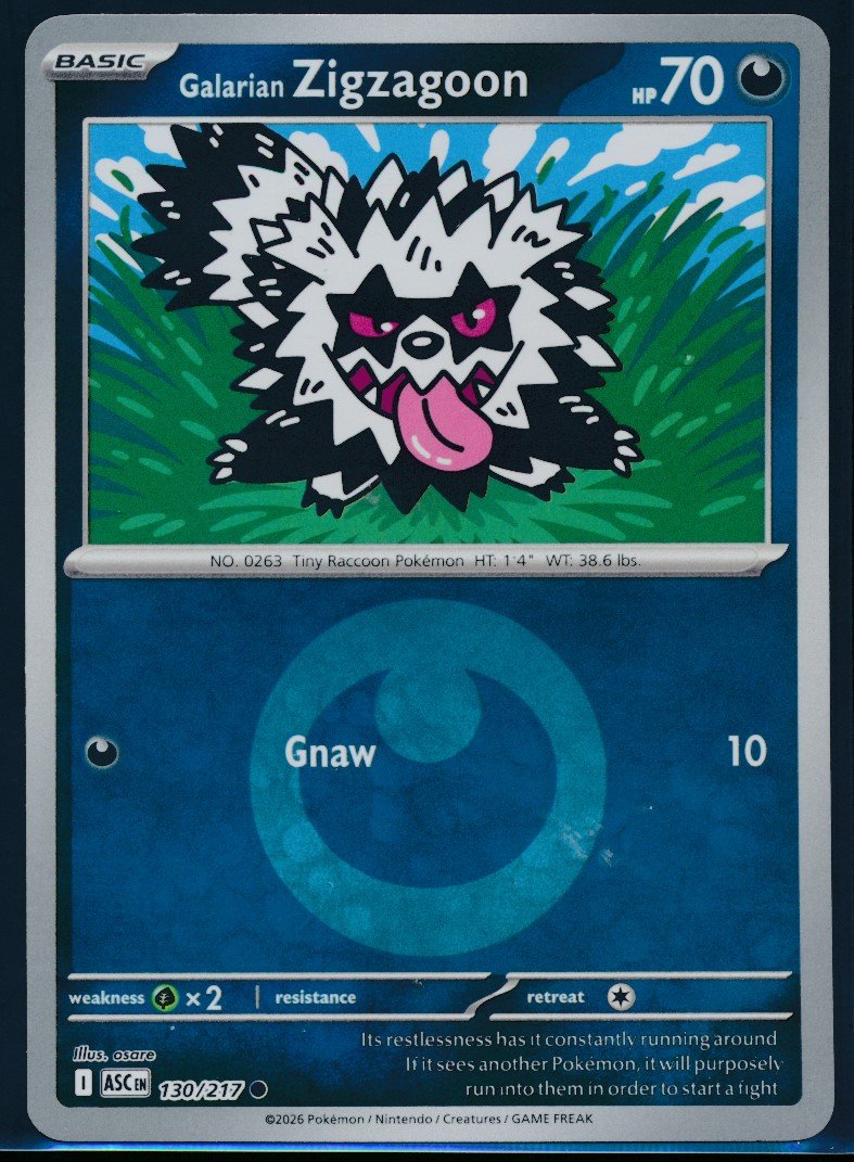 Galarian Zigzagoon (MAG MAG-00010500) — front