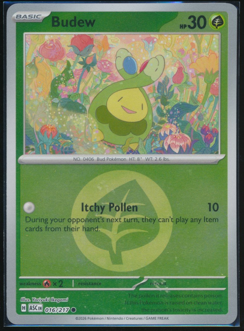 Budew (MAG MAG-00011078) — front