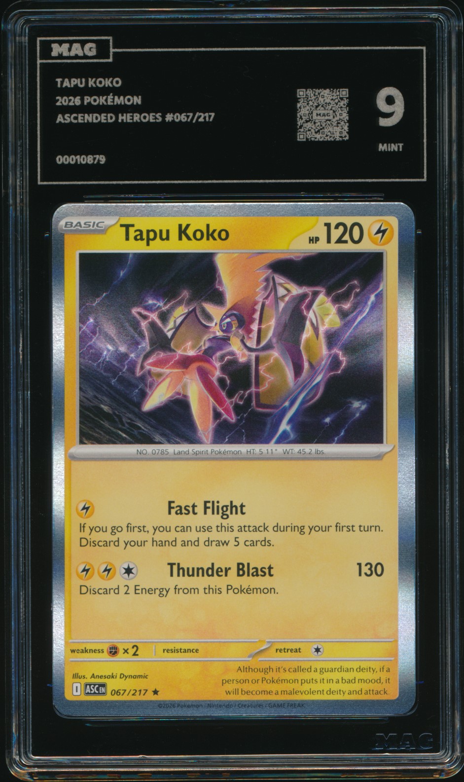 Tapu Koko (MAG MAG-00010879) — front