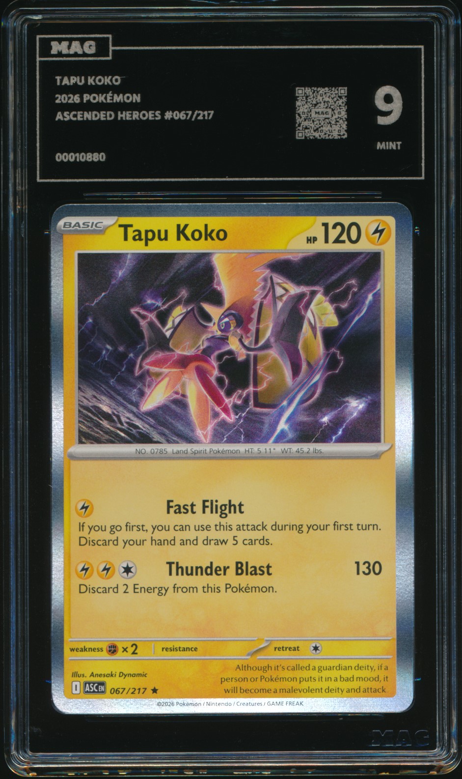 Tapu Koko (MAG MAG-00010880) — front