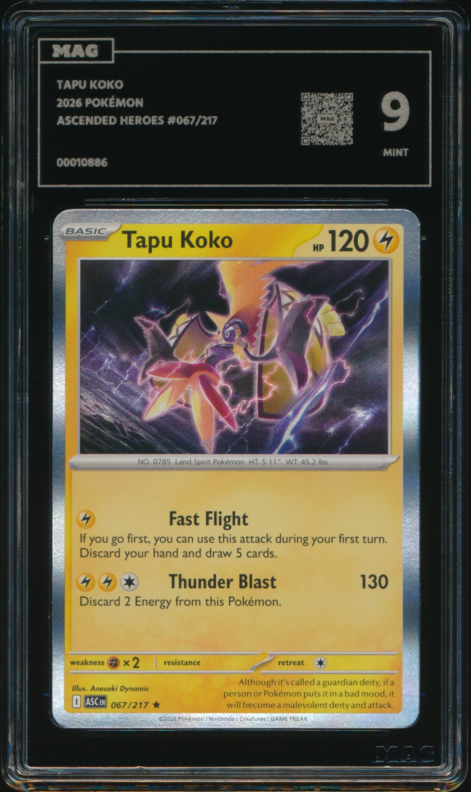 Tapu Koko (MAG MAG-00010886) — front