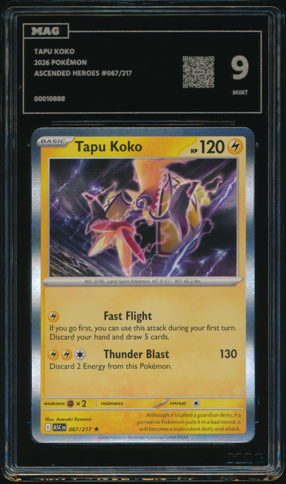 Tapu Koko (MAG MAG-00010888) — front