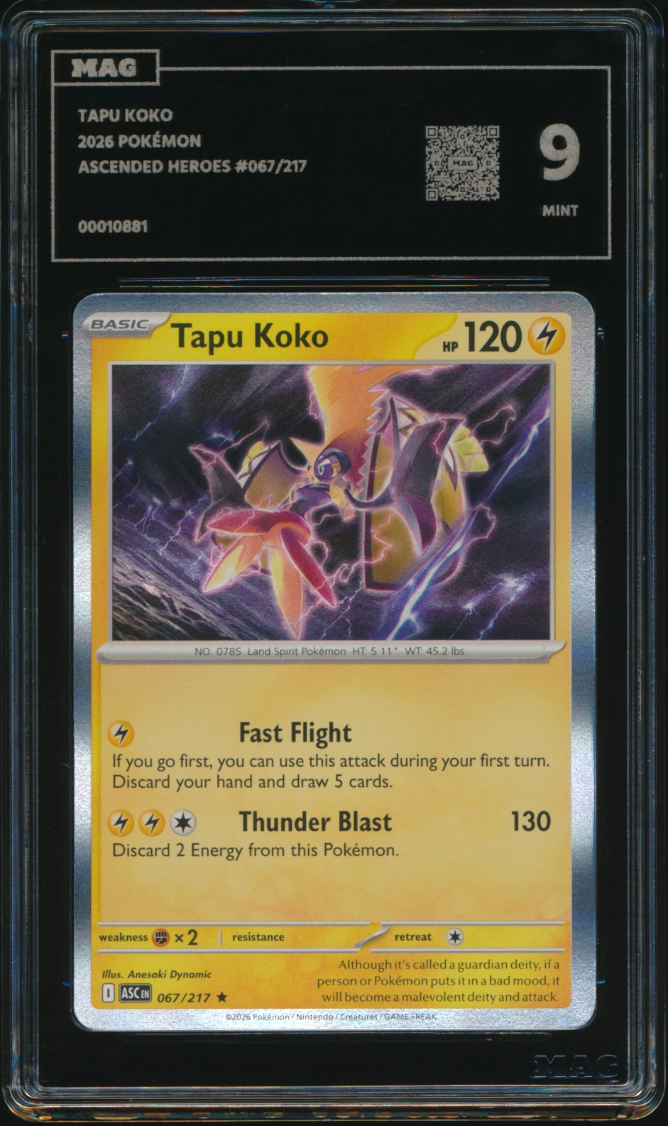 Tapu Koko (MAG MAG-00010881) — front