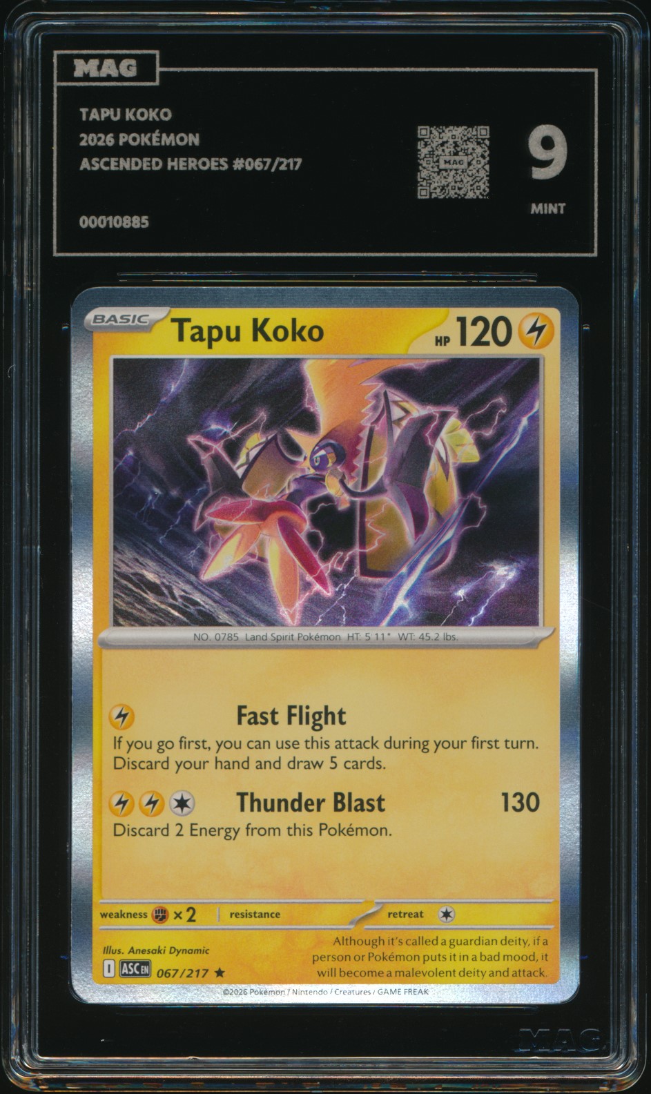 Tapu Koko (MAG MAG-00010885) — front