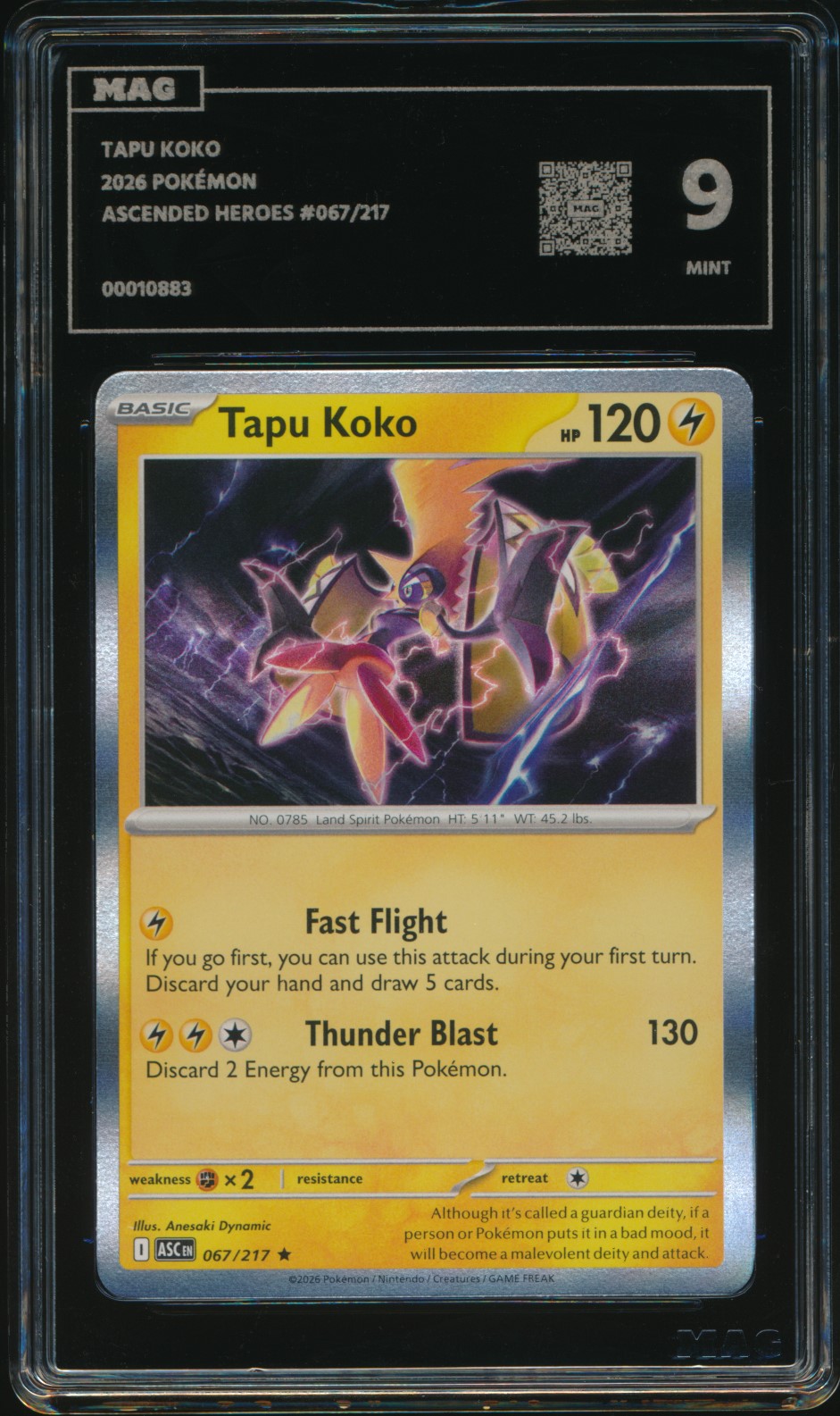 Tapu Koko (MAG MAG-00010883) — front
