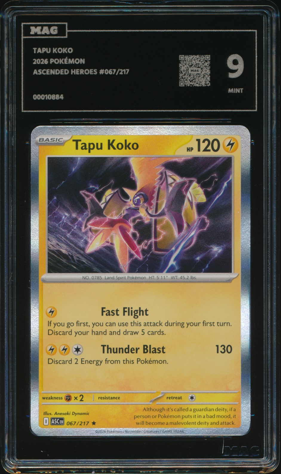 Tapu Koko (MAG MAG-00010884) — front