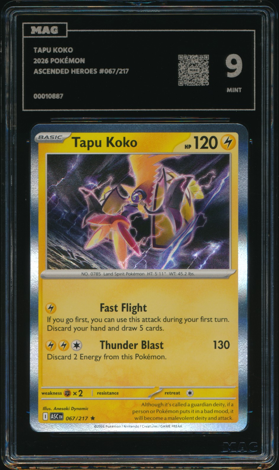 Tapu Koko (MAG MAG-00010887) — front