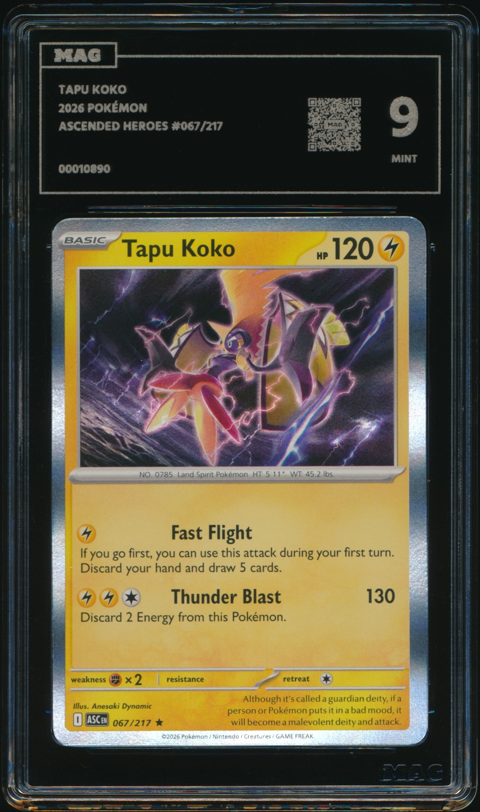 Tapu Koko (MAG MAG-00010890) — front